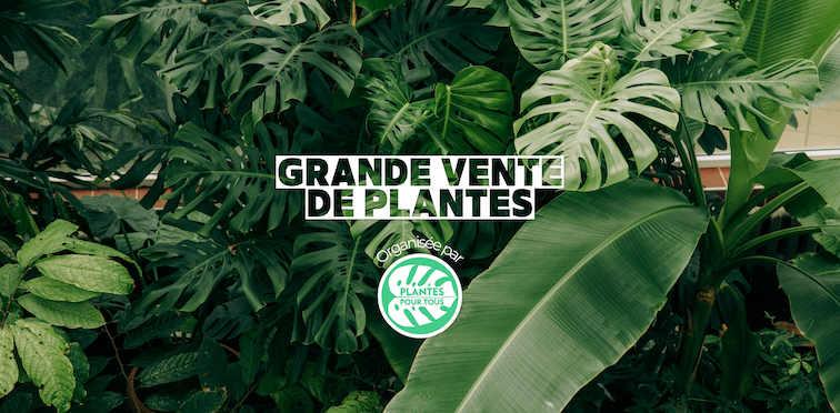 Grande vente de plantes
