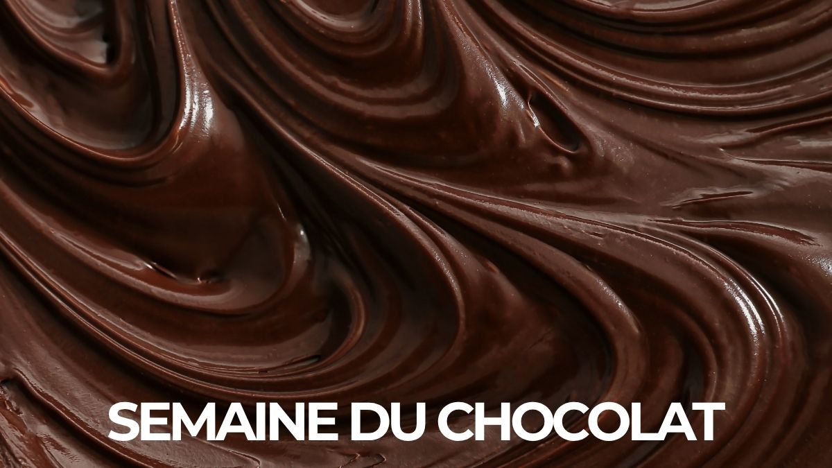 Bayonne fête son chocolat : Ateliers et dégustations au Moma