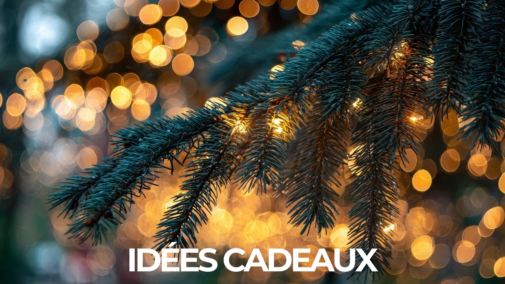 Idées cadeaux du MOMA